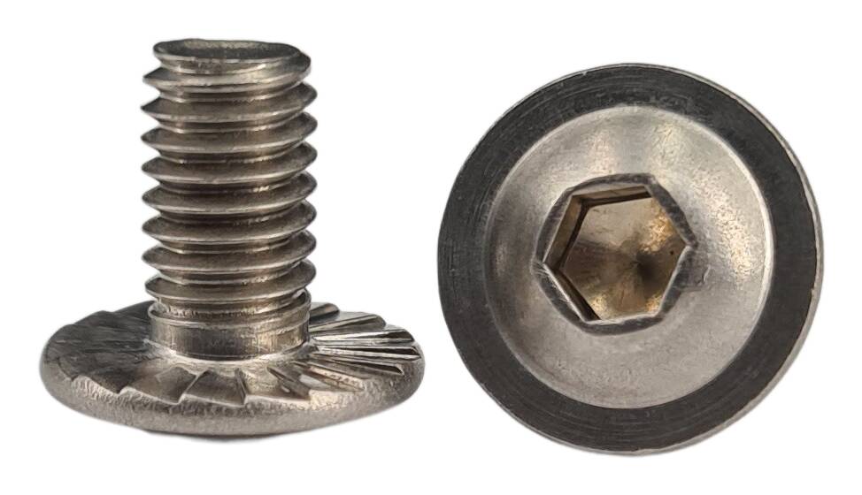 ISO 7380 Pan head screw with hexagon socket M6x10 with serration V2A